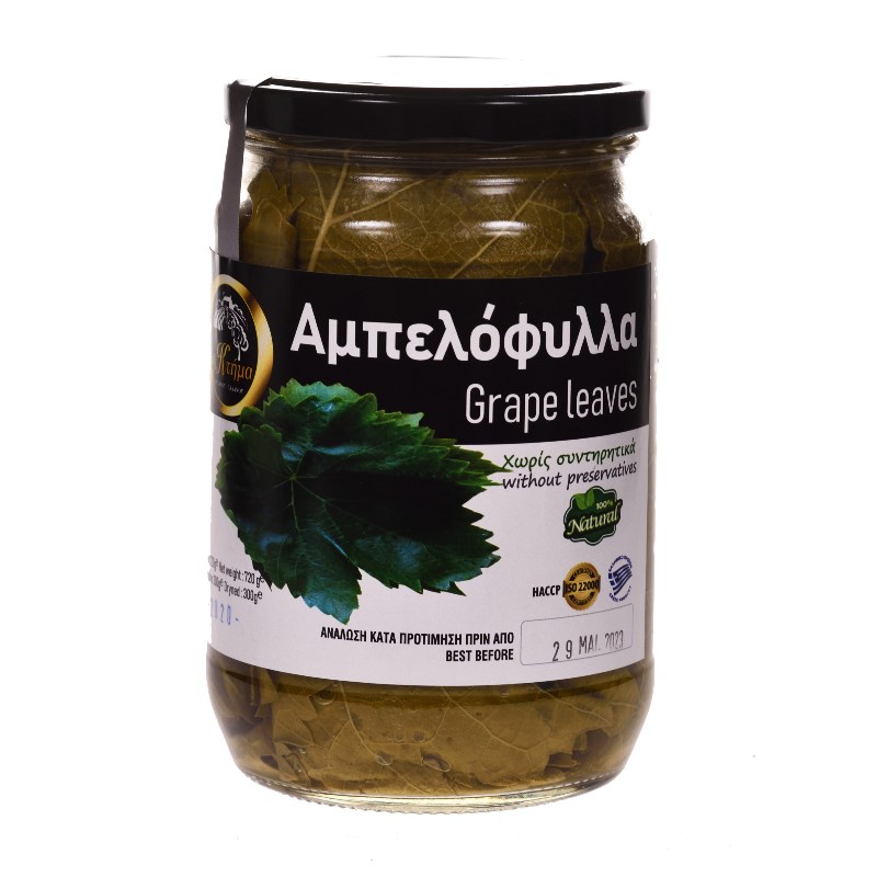 TERRA FOOD-224.jpg